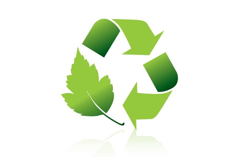 Формирование «Green skills» в пищевой и перерабатывающей отрасли 13