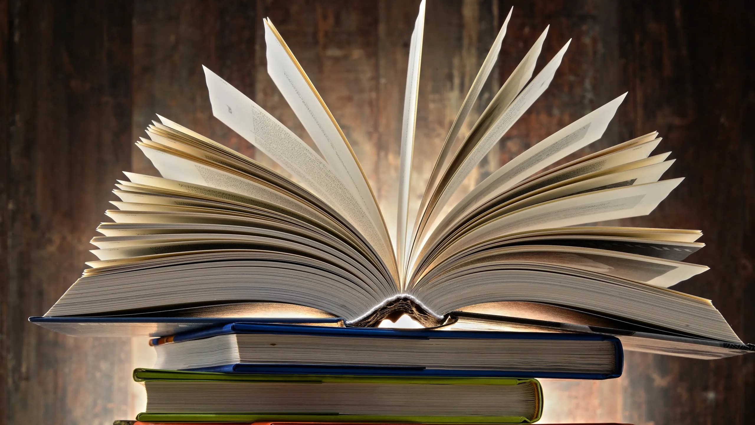 «Педагогикалық акмеология» пәнінен бейне сабақтар курсы 15